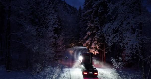 Luftfoto Snedækket Skov Træer Smukke Vinter Eventyrland December Jul Ferie – Stock-video