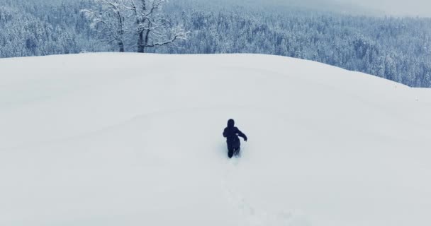 Загублений Пішохід Виходить Вулицю Сніговий Шторм — стокове відео