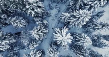 Lost hiker walking outdoors in snow storm
