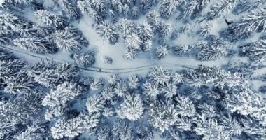 Lost hiker walking outdoors in snow storm