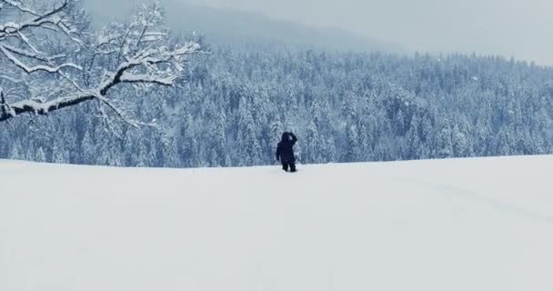 Senderista Perdido Caminando Aire Libre Tormenta Nieve — Vídeo de stock