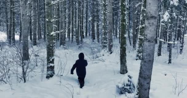 Perso Escursionista Piedi All Aperto Nella Tempesta Neve — Video Stock