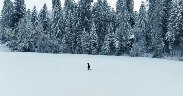 Veduta Aerea Cinematografica Dell Escursionista Smarrito Che Cammina Nella Neve — Video Stock