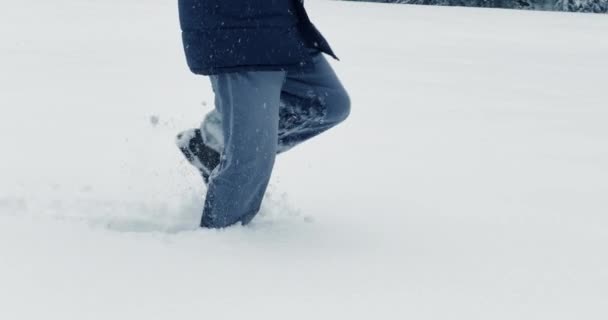 Caminhante Perdido Caminhando Neve Profunda Livre Paisagem Inverno — Vídeo de Stock