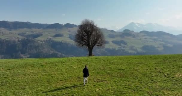 Bezstarostný Muž Kráčející Travnatém Poli Létě Panorama Krajiny Pozadí Letecký — Stock video