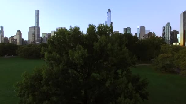 Vista Aérea Edificios Modernos Del Skyline Ciudad Imágenes Alta Calidad — Vídeo de stock