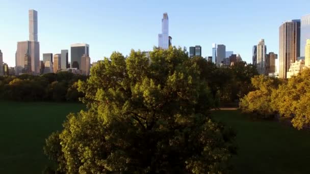 Légi Kilátás Modern Város Városkép Épületek Kiváló Minőségű Felvételek — Stock videók