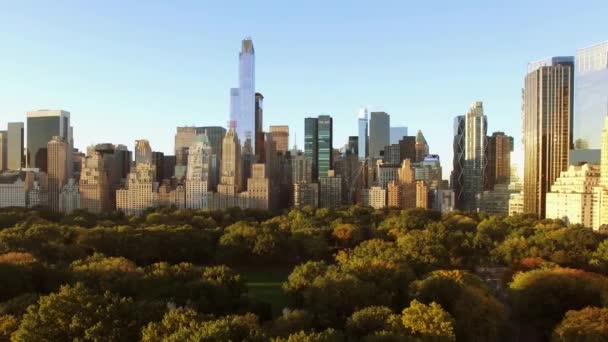 现代城市天际线建筑的空中景观 高质量的4K镜头 — 图库视频影像