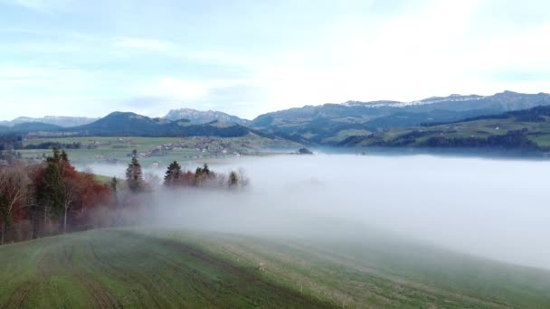Captura Dron Cinematográfico Niebla Naturaleza Vista Del Medio Ambiente Imágenes — Vídeos de Stock