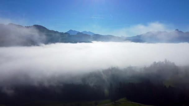 Captura Dron Cinematográfico Niebla Naturaleza Vista Del Medio Ambiente Imágenes — Vídeos de Stock