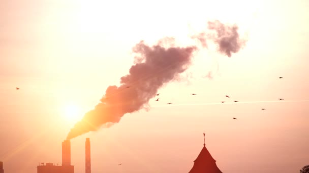Завод Загрязнение Углерода Выбросы Дыма Облака Высококачественные Fullhd Кадры — стоковое видео