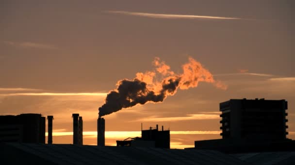Industriële Fabrieksvervuiling Koolstofuitstoot Rookwolken Hoge Kwaliteit Fullhd Beeldmateriaal — Stockvideo