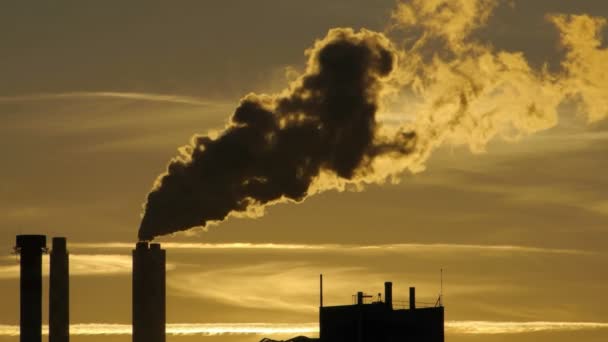 Contaminación Industrial Fábrica Nubes Humo Emisión Carbono Imágenes Fullhd Alta — Vídeo de stock