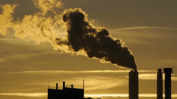Föroreningar Från Industrifabriker Koldioxidutsläpp Rökmoln Högkvalitativ Fullhd Film — Stockvideo