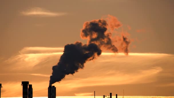 Βιομηχανική Ρύπανση Εργοστάσιο Σύννεφα Καπνού Εκπομπής Άνθρακα Υψηλής Ποιότητας Υλικό — Αρχείο Βίντεο