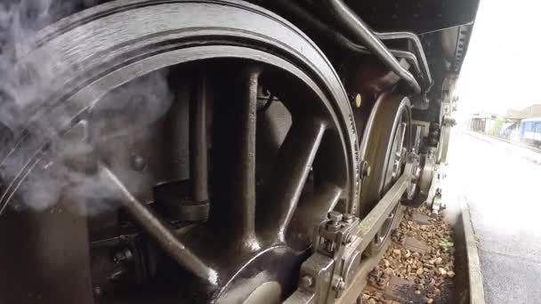 Historical Steam Engine Train Locomotive Driving Railroad Tracks High Quality — Stock Video