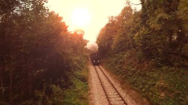 Locomotive Historique Train Vapeur Conduite Sur Les Voies Ferrées Des — Video