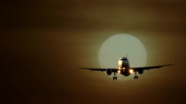 Ticari Uçak Jet Uçak Seyahatten Sonra Havalimanı Indi Yüksek Kalite — Stok video