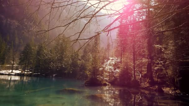 美しい平和なリラックスカラフルな湖ポンド自然景観 高品質のフルHd映像 — ストック動画