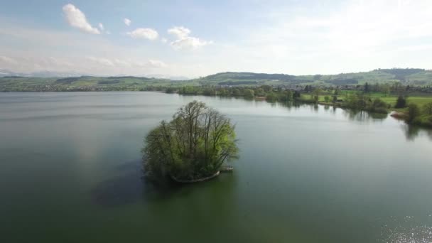 湖の景観の中央にある木の島のシネマティックな風景 高品質の4K映像 — ストック動画
