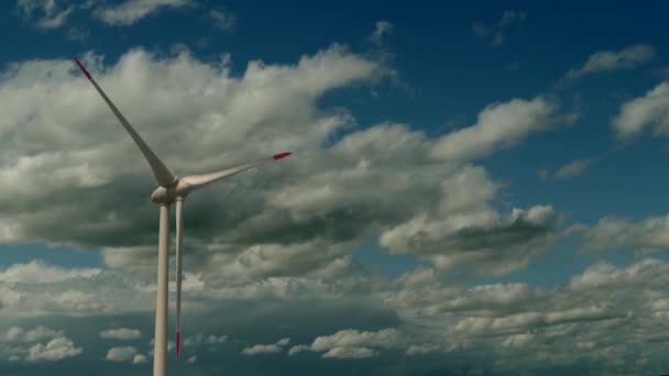 気候の友好的なエコカーボン自由な緑の電力の風力 高品質の4K映像 — ストック動画