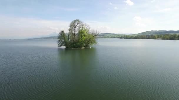 Cinematic Widok Lotu Ptaka Wyspy Drzewa Środku Krajobrazu Jeziora Wysokiej — Wideo stockowe