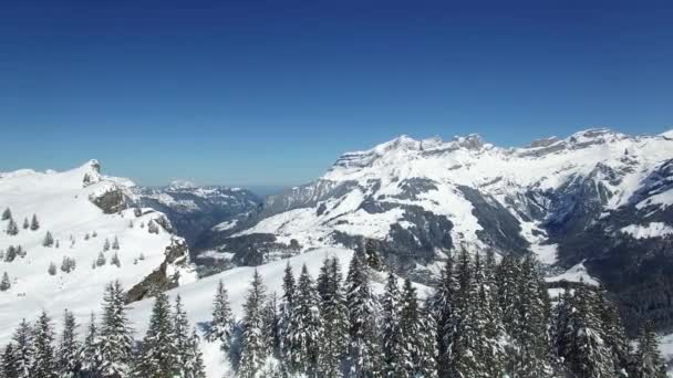 Schneebedeckte Waldlandschaft Der Wintersaison Hochwertiges Filmmaterial — Stockvideo