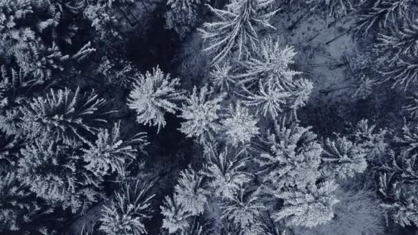 Filmisk Drone Aerial Udsigt Snow Mountain Peak Nature Countryside Høj – Stock-video