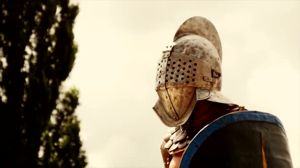 Historičtí Gladiátoři Vojáci Kráčející Společně Bitevním Poli Války Vysoce Kvalitní — Stock video