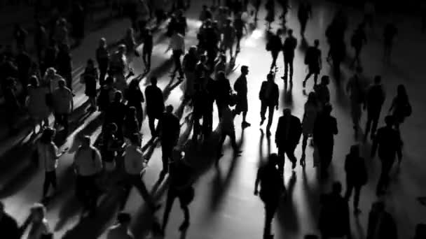 Üzletemberek Tömege Sétál Városban Átkelve Városi Utcán Kiváló Minőségű Felvételek — Stock videók
