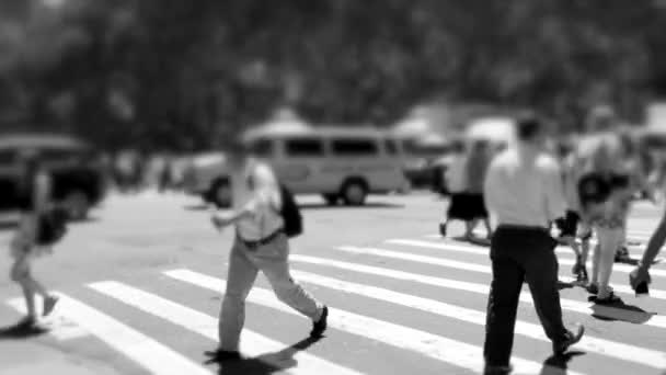 都市の通りを横断する街を歩くビジネスの人々の群れ 高品質の4K映像 — ストック動画