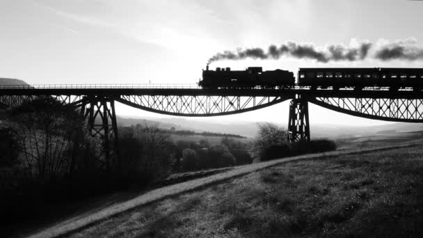 Motor Vapor Industrial Locomotive Train Crossing Railroad Tracks Imagens Alta — Vídeo de Stock