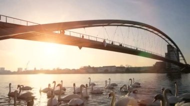 Sunrise Light 'taki Modern Köprü Yolu Mimari Nehir Manzarası. Yüksek kaliteli FullHD görüntüler