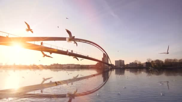 Сучасна Мостова Дорога Архітектура Річкові Пейзажі Sunrise Light Високоякісні Fullhd — стокове відео