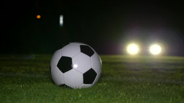 Joueur Football Entraînement Athlète Foot Ball Sport Sur Terrain Football — Video