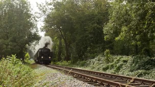 Industrielle Dampflokomotiven Überqueren Eisenbahngleise Hochwertiges Filmmaterial — Stockvideo