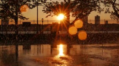 Şehir Parkı Manzarası 'nda Sunset Golden Hour' da yaz yağmuru. Yüksek kalite 4k görüntü