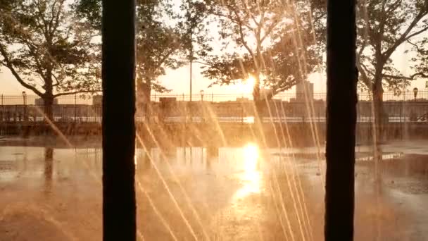 Zomer Regen Bij Zonsondergang Golden Hour City Park View Hoge — Stockvideo