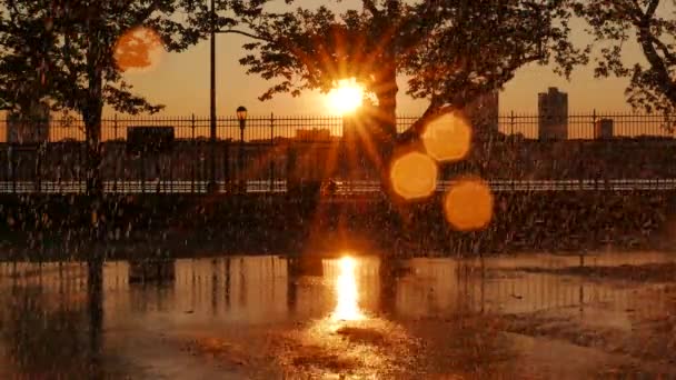 Summer Rain Sunset Golden Hour City Park View Inglês Imagens — Vídeo de Stock