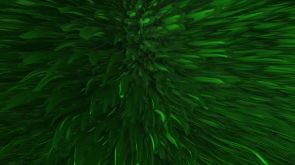 Green Seaweed Underwater Sea Grass Algae Ocean Plant Background Inglés — Vídeos de Stock