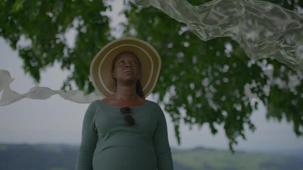 若い妊娠したアフリカの女性の日屋外で夢を見る 高品質の4K映像 — ストック動画