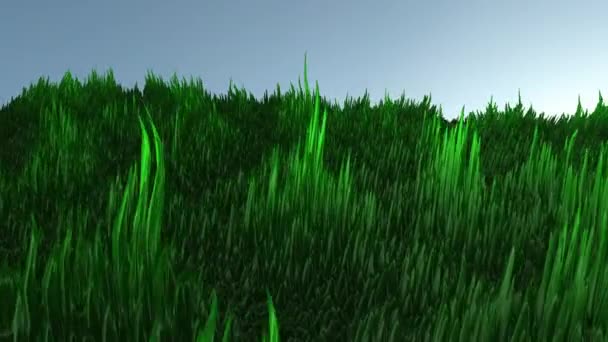 Green Seaweed Underwater Sea Grass Algae Ocean Plant Background Imagens — Vídeo de Stock