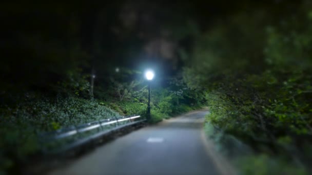 暗い夜に通りを歩いている若者 高品質の4K映像 — ストック動画