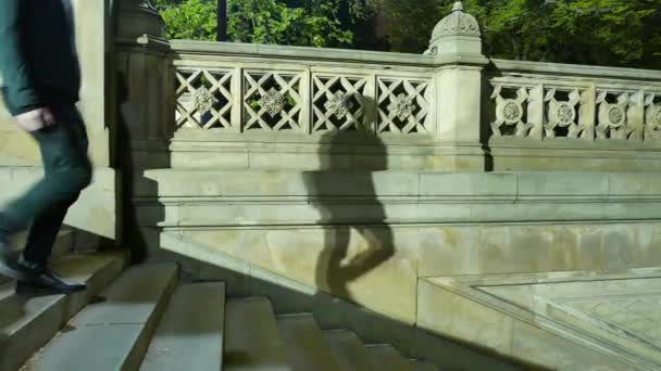 Gespenstische Mystische Szene Einer Männlichen Person Die Bei Nächtlichem Licht — Stockvideo