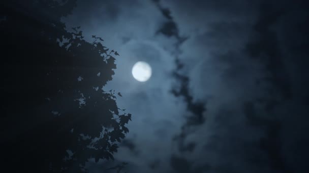 Straszne Ciemne Tajemnicze Nastroje Nocy Pełni Księżyca Wszechświecie Kosmicznym Wysokiej — Wideo stockowe