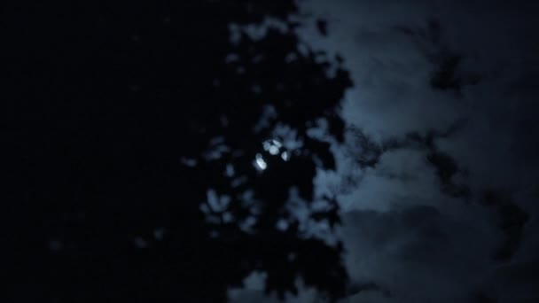 Spookachtige Donkere Mysterie Nacht Mood Van Volle Maan Planeet Ruimte — Stockvideo