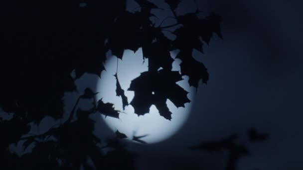 Mystical Moon Night Sky Scenariu Cosmos Iluminat Lumină Moonshine Înregistrare — Videoclip de stoc