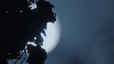 Aydınlanmış Kozmos ve Ayışığı 'nın Mistik Ay Gecesi Gökyüzü Sahnesi. Yüksek kalite 4k görüntü