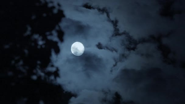 Mystical Moon Night Sky Scenery Illuminated Cosmos Holdfény Kiváló Minőségű — Stock videók