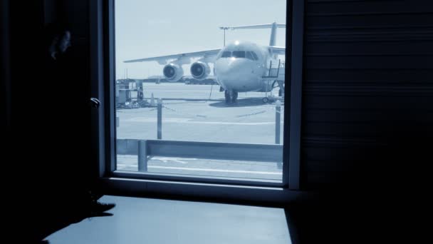 Business Passenger Waiting Airport Gate Airplane Flight Boarding Inglés Imágenes — Vídeo de stock